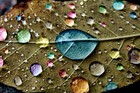 Picture for song 'Candy Rain | (@SupaCrankIt x @TrackSlammerz)' by artist 'Supa Crank It'