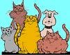 Picture for song 'Cats' by artist 'Supermarket trio'