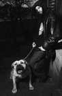 Picture for song 'MY DOG'S' by artist 'swagjkbeats'