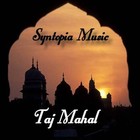 Picture for song 'Taj Mahal' by artist 'Syntopia Music'