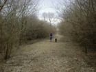 Picture for song 'Creekwater Joe.' by artist 'Taggy Lee'