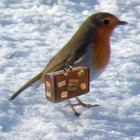 Picture for song 'LITTLE TWEET' by artist 'tamsnumber4'