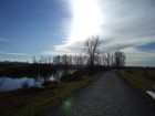 Picture for song 'Thoughts' by artist 'The Black Line (CA)'