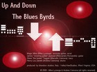 Picture for song 'Up And Down' by artist 'The Blues Byrds'