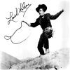 Picture for song 'Lash Me Up' by artist 'The Bullfrogs'