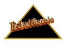 Picture for song 'Walkabout Paris - Night Kills The Sun Remixed' by artist 'The Dead Pharaohs'