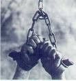 Picture for song 'Slave' by artist 'The Doublewide Suicides'