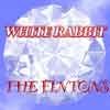 Picture for song 'WHITE RABBIT' by artist 'The Fintons'