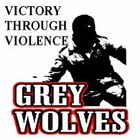 Picture for song 'Victory Through Violence' by artist 'The Grey Wolves'