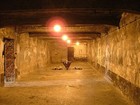 Picture for song 'Obvious Gas Chamber Life' by artist 'The Harridans'