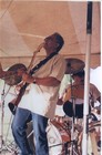 Picture for song 'The Stone keeps on Rollin' by artist 'The Hassels'