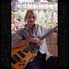 Picture for song 'New Day' by artist 'The Jay Dyall Project'