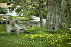 Picture for song 'Smell the Blossoms in Spring' by artist 'The Markdanyells'