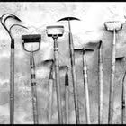 Picture for song 'HOES' by artist 'THE OFFICIAL MIGHTY'