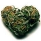 Picture for song 'Alwayz Forever' by artist 'The Old Guy'