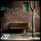 Picture for song 'Dust To Dawn' by artist 'TheRealCSL'