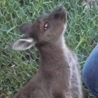 Picture for song 'Freaky' by artist 'The Reconditioning of the Heart'