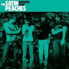 Picture for song 'Still Sour' by artist 'The Satin Peaches'