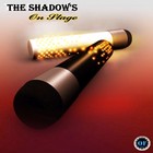 Picture for song 'She's Got The Rhythm' by artist 'The Shadow's'
