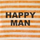 Picture for song 'Happy Man' by artist 'The Steppouts'