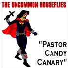 Picture for song 'Pastor Candy Canary' by artist 'The Uncommon Houseflies'