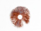 Picture for song 'The Spores' by artist 'The Vault - Selections from Our Scatalogue'