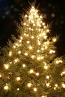 Picture for song '07 Mr. Grinch' by artist 'The Williams Family'