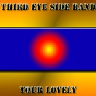 Picture for song 'I Don't Need Your Love' by artist 'Third Eye Side Band'