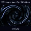 Picture for song 'Mirrored Elegy' by artist 'Thrown to the Wolves (NY)'