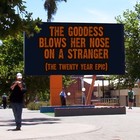 Picture for song 'Sacastic Wonderland Blues.mp3' by artist 'tichphillips'