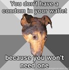 Picture for song 'Silly Me' by artist 'tictacvintageproductions'