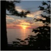 Picture for song 'Summer' by artist 'Timbretronics'