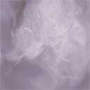 Picture for song 'Canis Growth' by artist 'tim p scott'