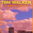 Picture for song 'Storm's Coming' by artist 'Tom Walker'
