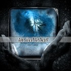 Picture for song 'Evermore (TOO ICED TO BEAT: FREE DL)' by artist 'too iced to beat'