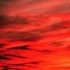 Picture for song 'In Her Embrace' by artist 'Torspo'