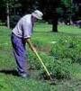 Picture for song 'Britches and h**s (The Farmer Song)' by artist 'Trailerpark Man'