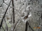 Picture for song 'Christmas Snow' by artist 'Tricia41'