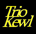 Picture for song 'Idle Minds' by artist 'Trio Kewl'