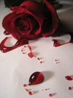 Picture for song 'Blood of a bi***' by artist 'TrustSM'