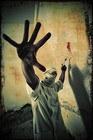 Picture for song 'bounce to this' by artist 'TURF DWELENZ'