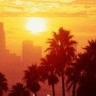 Picture for song 'Palm Trees | Free DL' by artist 'tvisionbeatz'