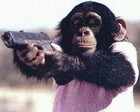 Picture for song '((Free D/L)) I Will Conquer ((Free D/L))' by artist 'Tyler On The Beat'