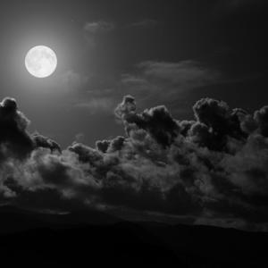 Picture for song 'In The Wee Small Hours Of The Morning' by artist 'Ucancallmeal'