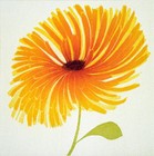 Picture for song 'Summertime 2-18-06' by artist 'Unfiltered Jazz'