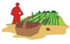 Picture for song 'Ontario's Exploited Migrant Farm Workers' by artist 'Unusual Sources'