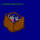 Picture for song 'i never wanted it (improv)' by artist 'Upsidedown Cat'