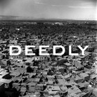 Picture for song 'Deedly x Vibe Killa' by artist 'VahhaBeatz'