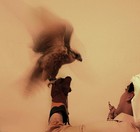 Picture for song 'Arabian' by artist 'verbalkintbeats'