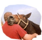 Picture for song 'My Sweetheart is a Mule in the Mines' by artist 'Verne Garrison (aka Lake Fork Verne)'